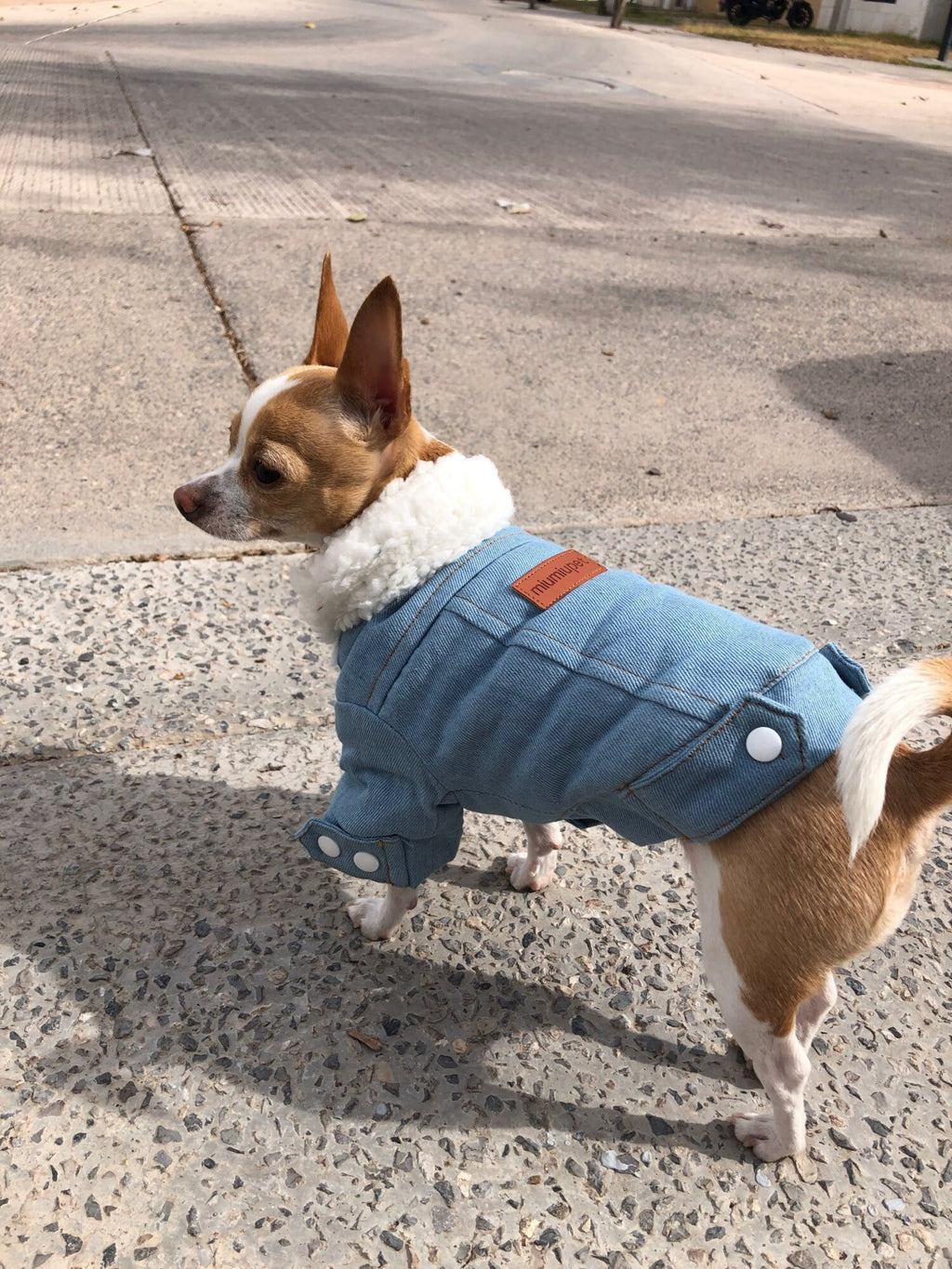 TailTailor® Elegantes & Gemütliches Hunde-Outfit – Stylischer Hundepullover mit Leinenöffnung für Gassigänge & Instagram-Fotos