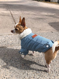 TailTailor® Elegantes & Gemütliches Hunde-Outfit – Stylischer Hundepullover mit Leinenöffnung für Gassigänge & Instagram-Fotos