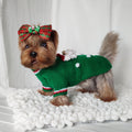 TailTailor® Handgestrickter Weihnachtsmann-Hundepullover – Weihnachtspullover für Hunde mit Santa-Motiv & Maßanfertigung