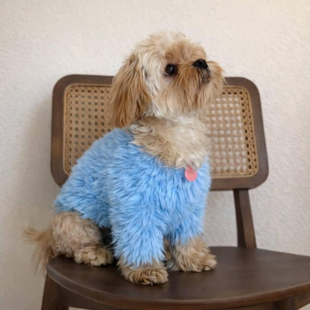 TailTailor® Handgestrickter Frühlings-Hundepullover aus Flauschgarn – Mit Herz-Motiv, Pastellfarben & Maßanfertigung