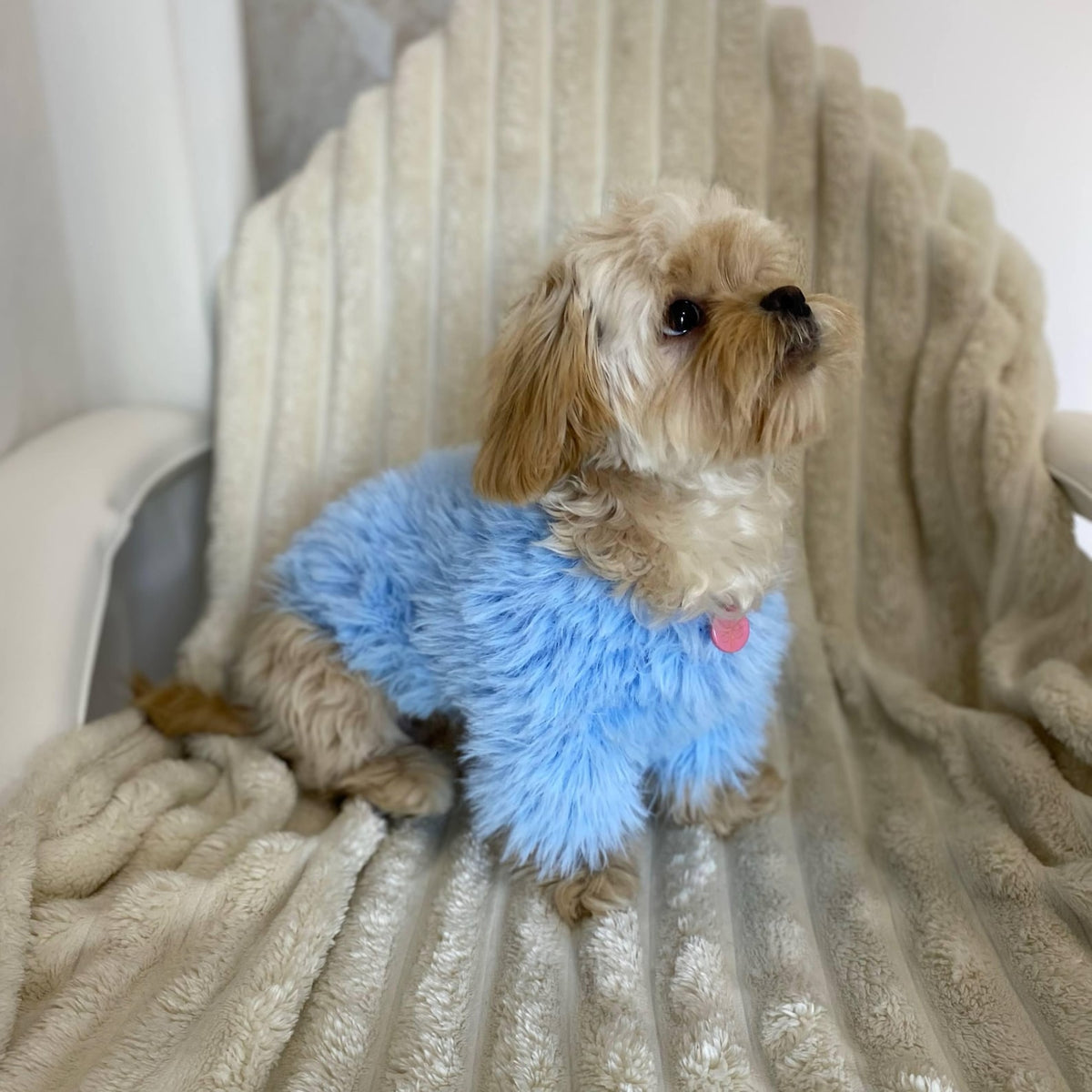 TailTailor® Handgestrickter Frühlings-Hundepullover aus Flauschgarn – Mit Herz-Motiv, Pastellfarben & Maßanfertigung