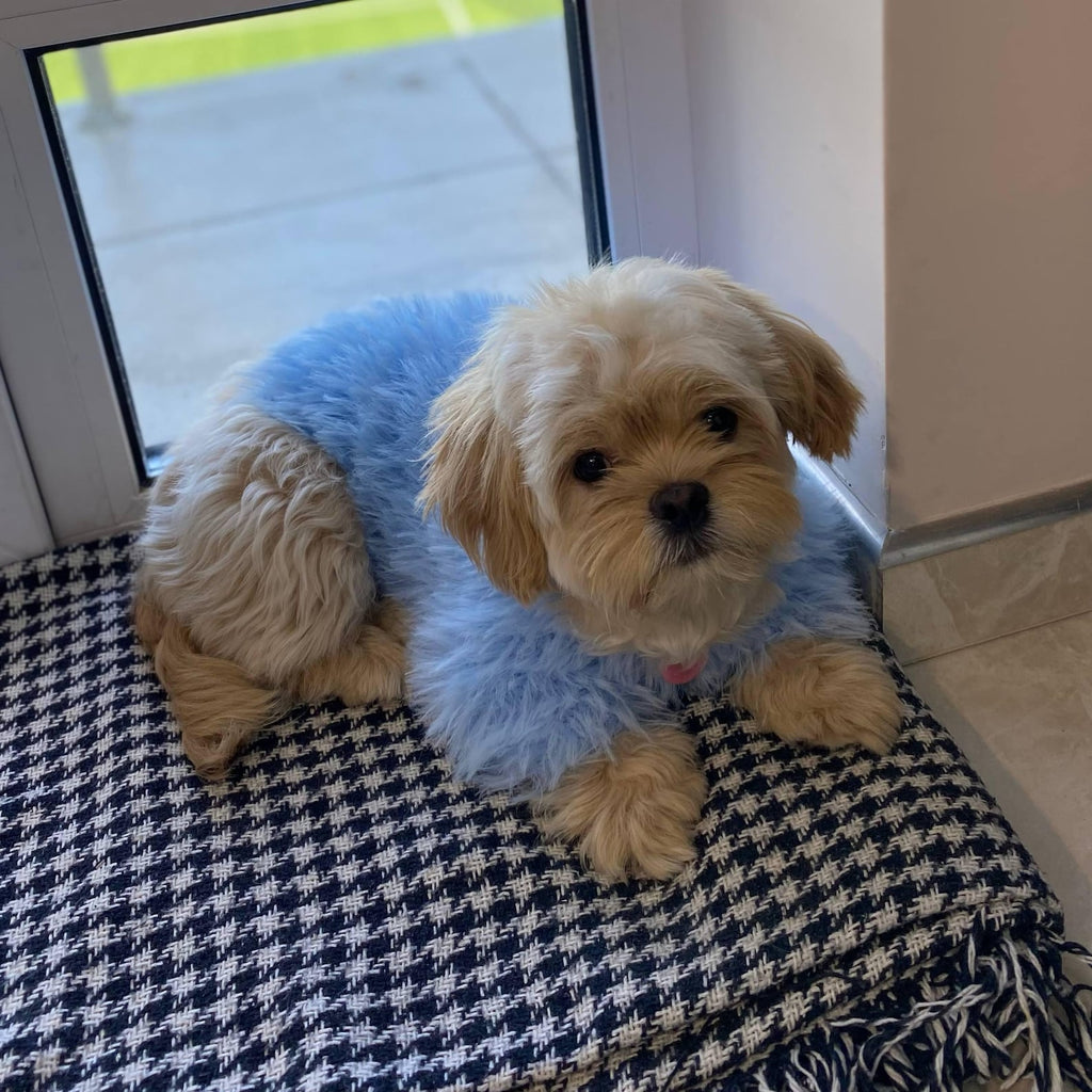 TailTailor® Handgestrickter Frühlings-Hundepullover aus Flauschgarn – Mit Herz-Motiv, Pastellfarben & Maßanfertigung