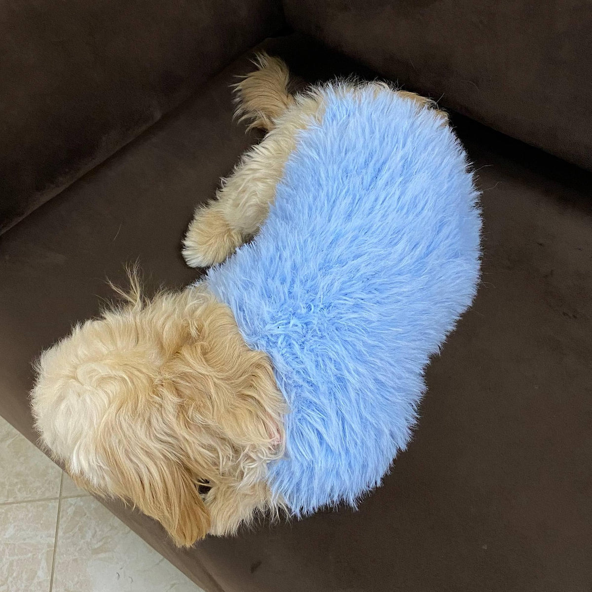 TailTailor® Handgestrickter Frühlings-Hundepullover aus Flauschgarn – Mit Herz-Motiv, Pastellfarben & Maßanfertigung