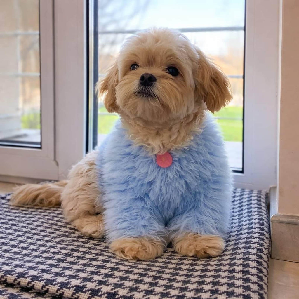 TailTailor® Handgestrickter Frühlings-Hundepullover aus Flauschgarn – Mit Herz-Motiv, Pastellfarben & Maßanfertigung