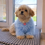 TailTailor® Handgestrickter Frühlings-Hundepullover aus Flauschgarn – Mit Herz-Motiv, Pastellfarben & Maßanfertigung