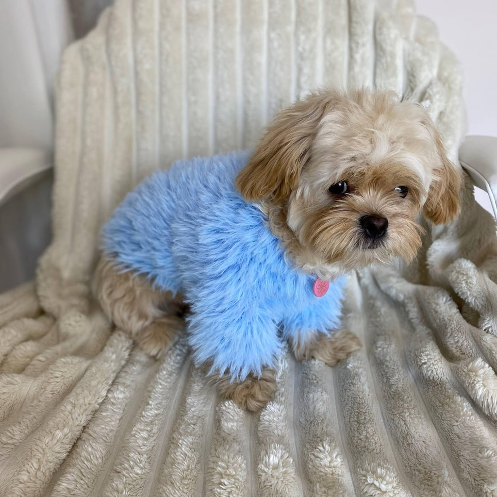TailTailor® Handgestrickter Frühlings-Hundepullover aus Flauschgarn – Mit Herz-Motiv, Pastellfarben & Maßanfertigung
