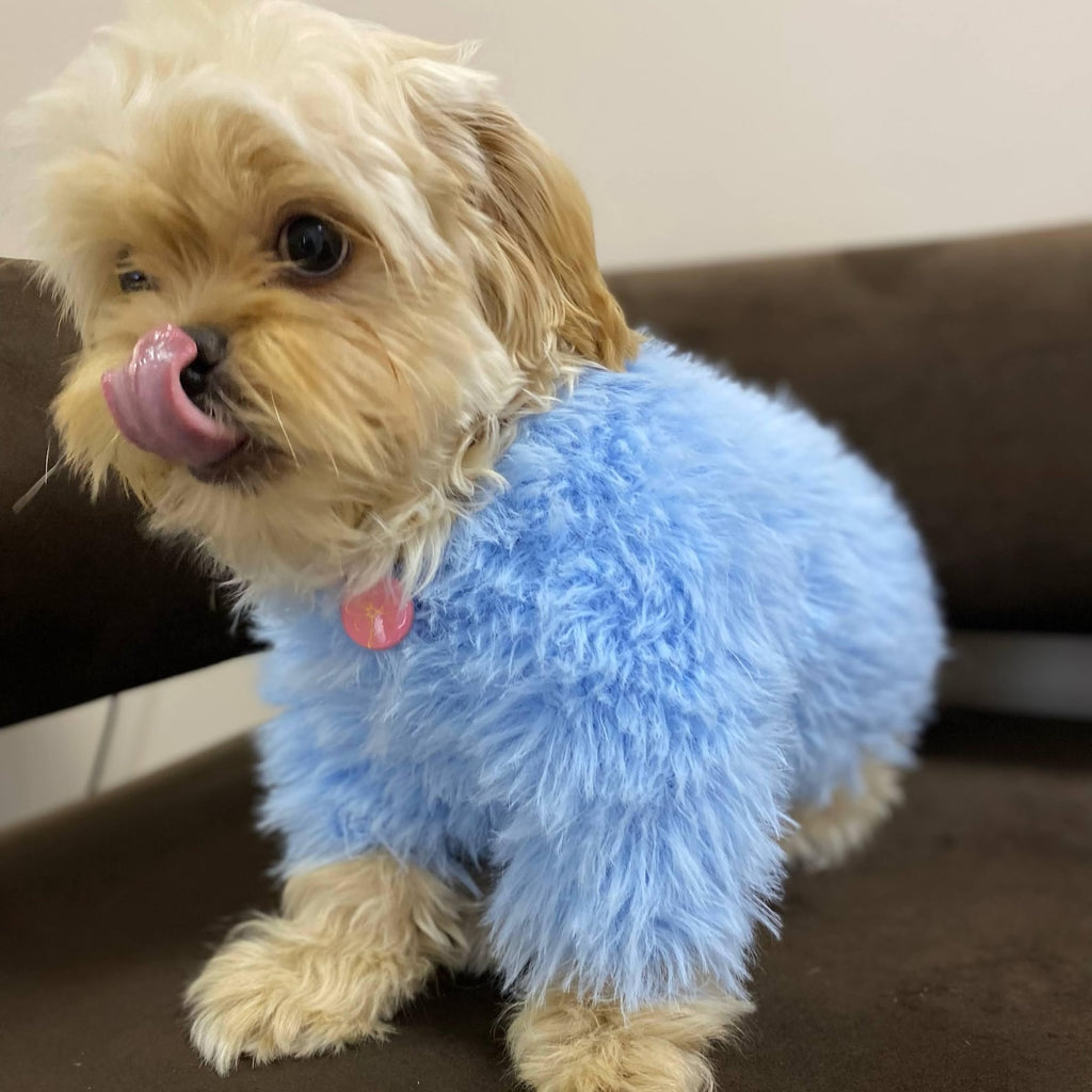 TailTailor® Handgestrickter Frühlings-Hundepullover aus Flauschgarn – Mit Herz-Motiv, Pastellfarben & Maßanfertigung