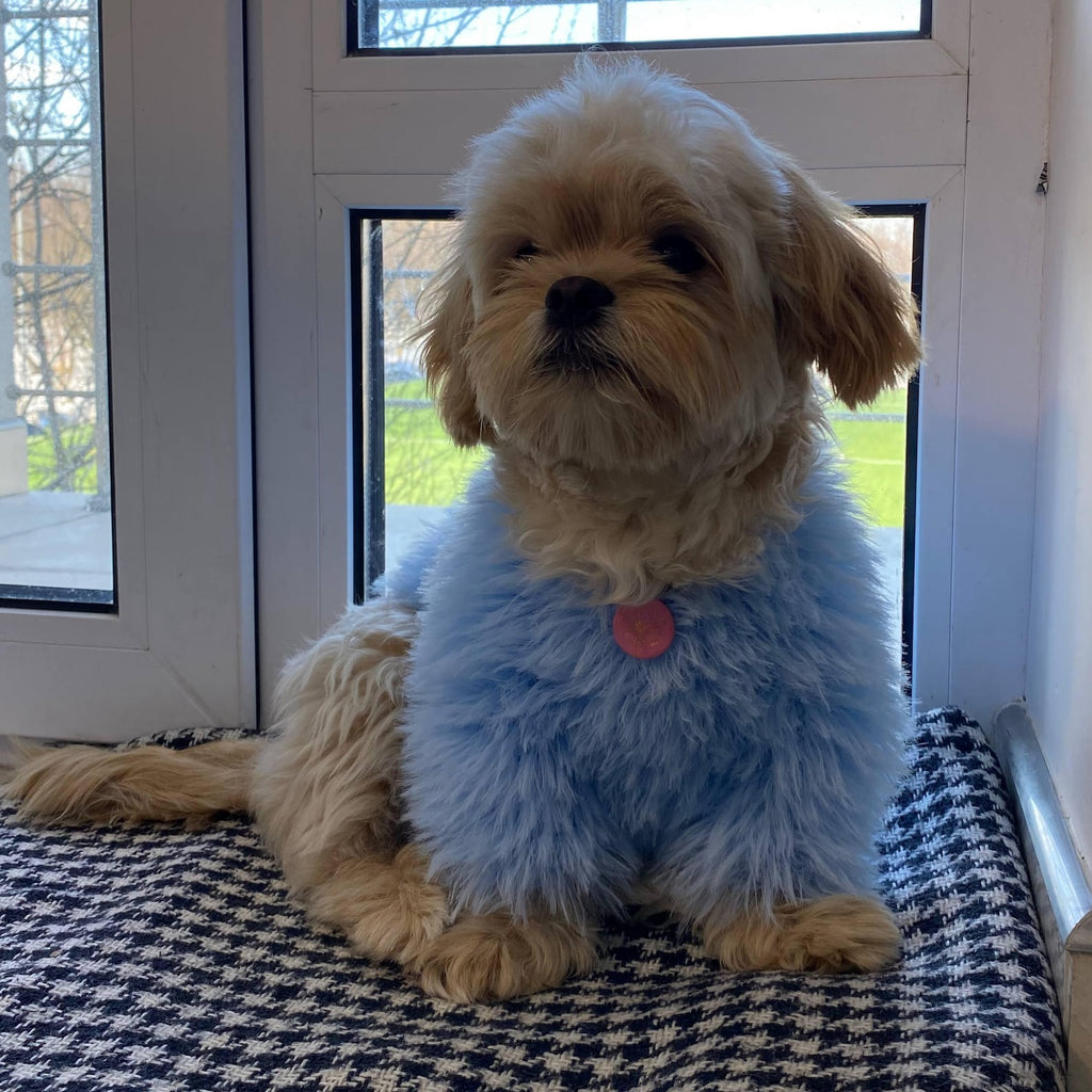 TailTailor® Handgestrickter Frühlings-Hundepullover aus Flauschgarn – Mit Herz-Motiv, Pastellfarben & Maßanfertigung