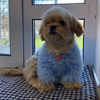 TailTailor® Handgestrickter Frühlings-Hundepullover aus Flauschgarn – Mit Herz-Motiv, Pastellfarben & Maßanfertigung