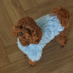 TailTailor® Handgestrickter Frühlings-Hundepullover aus Flauschgarn – Mit Herz-Motiv, Pastellfarben & Maßanfertigung