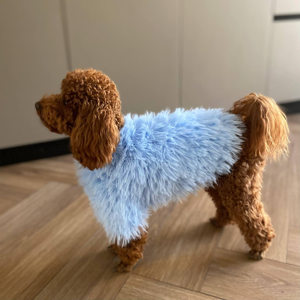 TailTailor® Handgestrickter Frühlings-Hundepullover aus Flauschgarn – Mit Herz-Motiv, Pastellfarben & Maßanfertigung