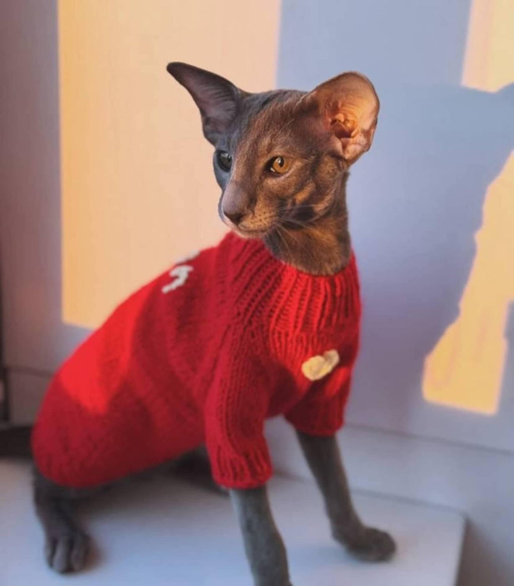 TailTailor® Handgestrickter Pullover aus Wolle & Bambus – Mit Herz-Detail & Optionaler Namensstickerei für Hunde (Rot)