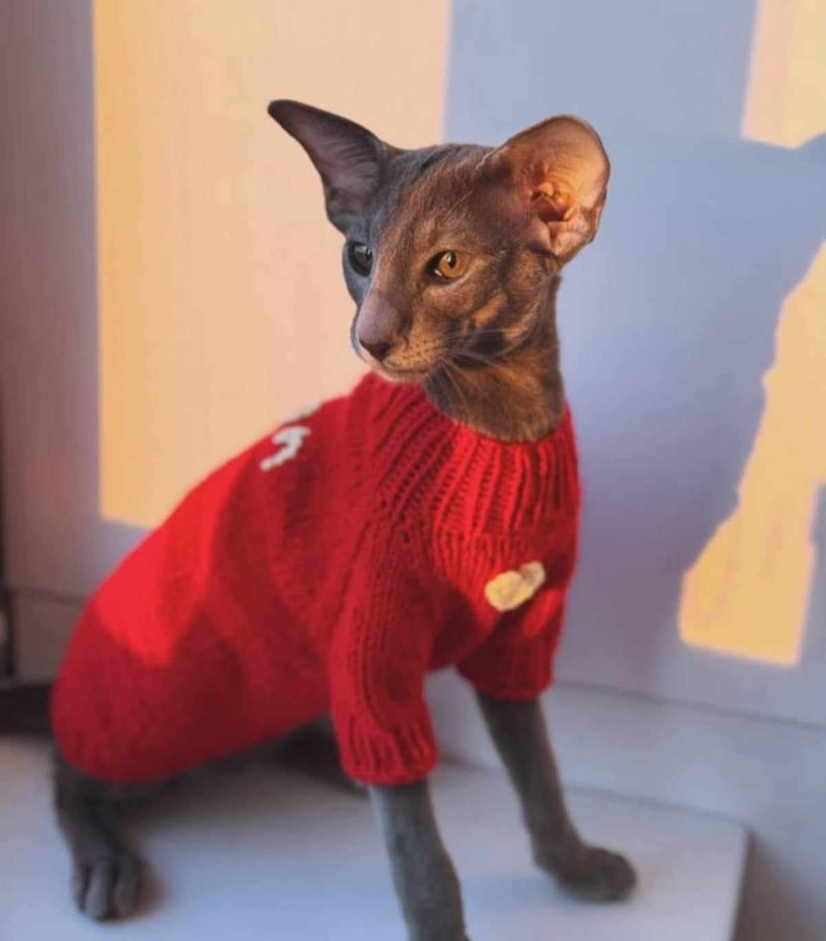 TailTailor® Handgestrickter Pullover aus Wolle & Bambus – Mit Herz-Detail & Optionaler Namensstickerei für Hunde (Rot)