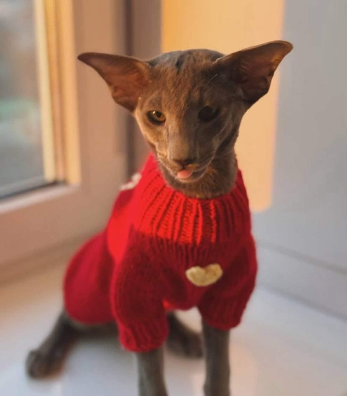 TailTailor® Handgestrickter Pullover aus Wolle & Bambus – Mit Herz-Detail & Optionaler Namensstickerei für Hunde (Rot)